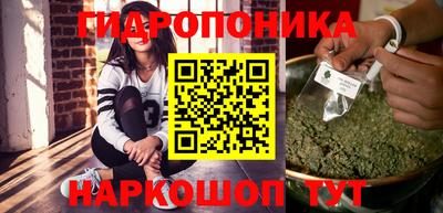 СК Гатчина