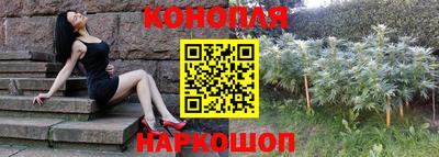 спайс Гай