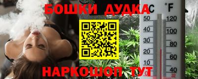 СК Гатчина