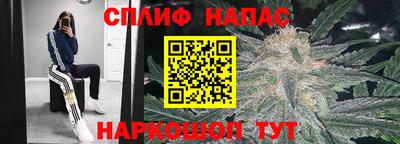 СК Гатчина