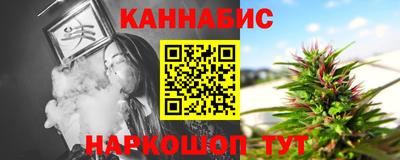 СК Гатчина