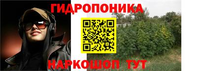спайс Гай