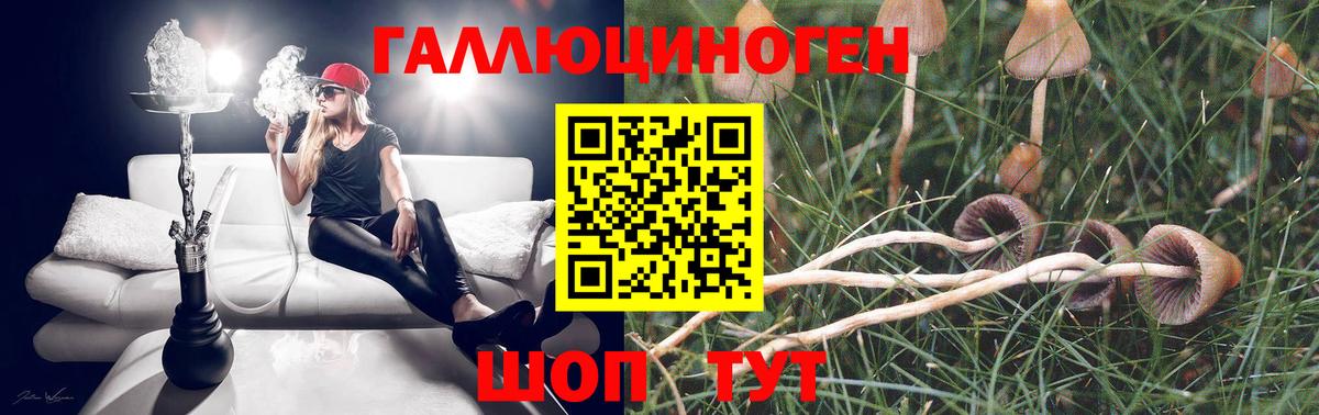 Железногорск  Псилоцибиновые грибы Cubensis  Вход с VPN 